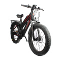 dynavolt double battery 48V 11.6Ah electric mountain bike